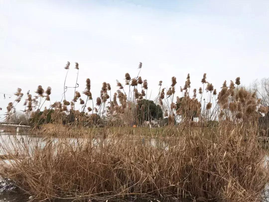 无锡遛娃户外免费,无锡惠山区遛娃好去处