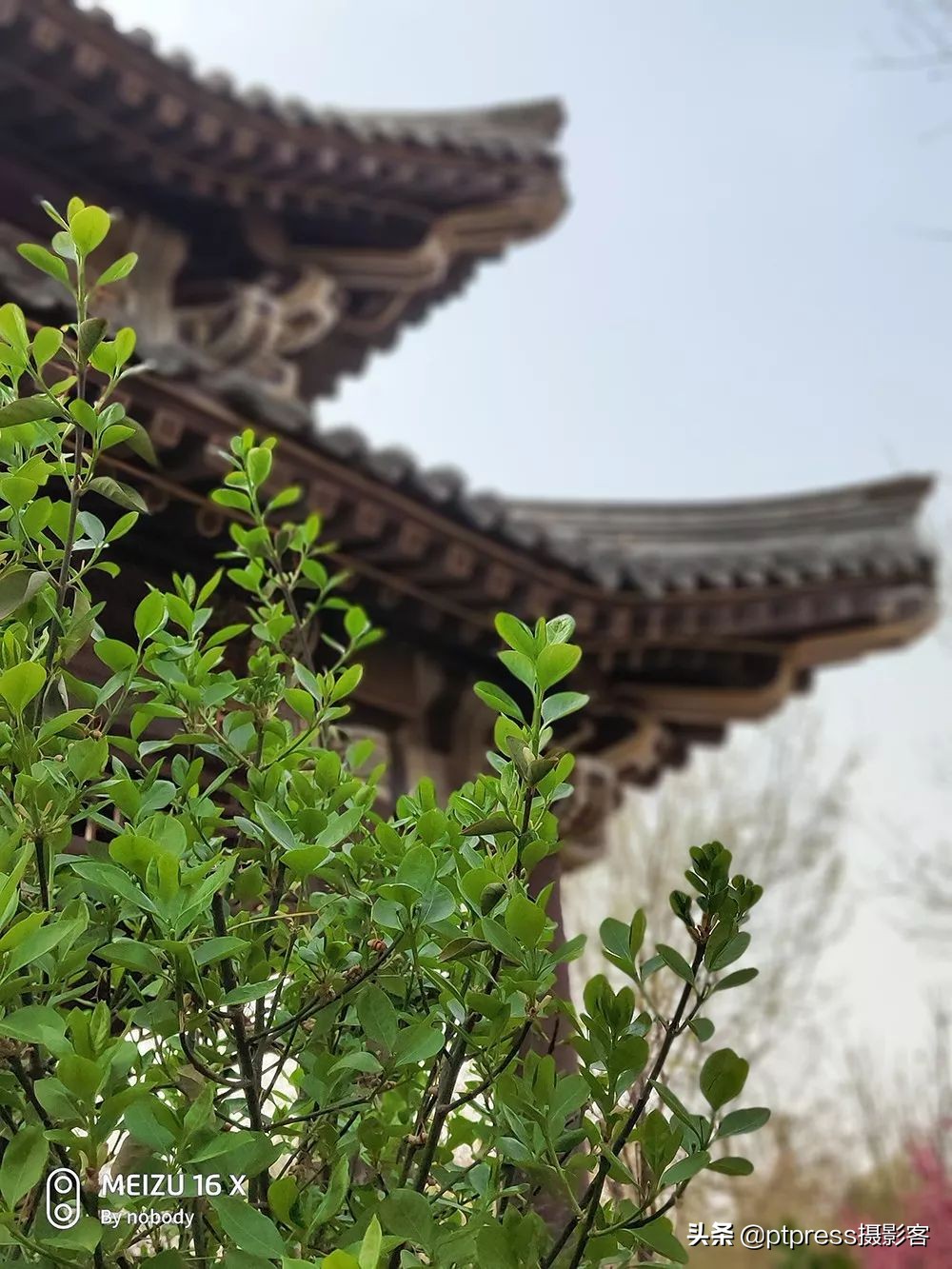 客叔辣评｜为什么你看了那么多摄影书，还是拍不好？这就是原因