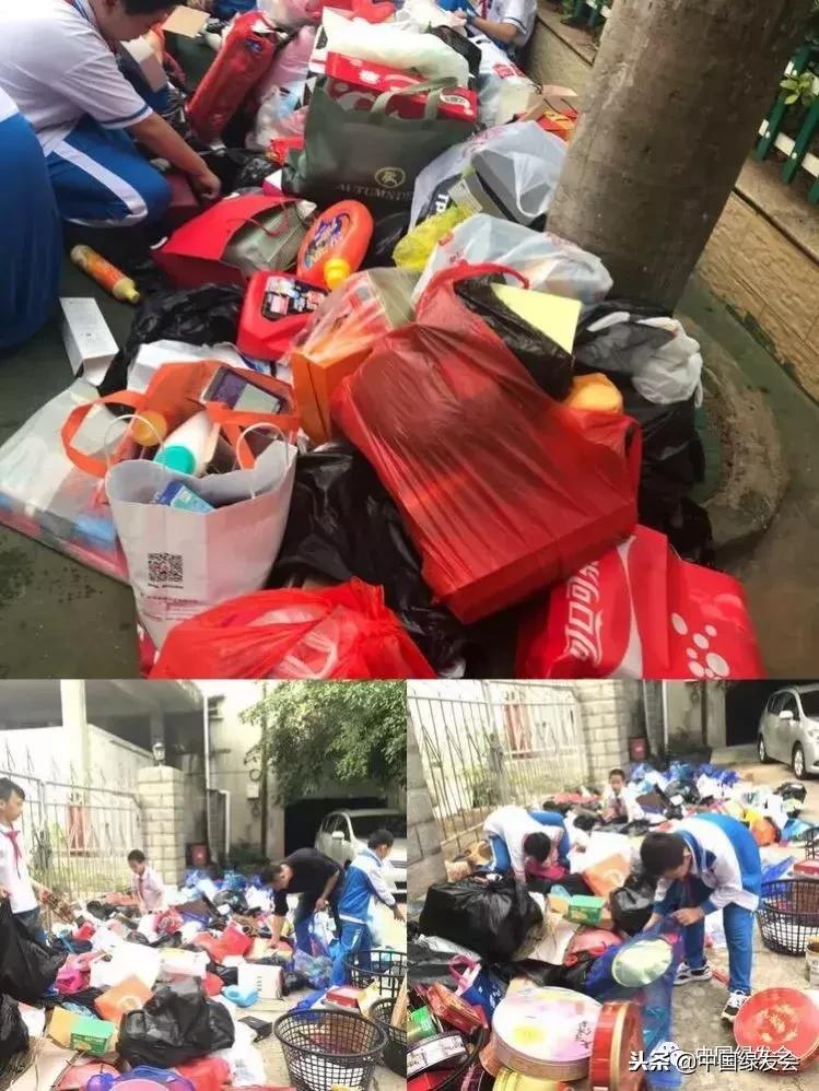 中国绿发会头条,中国绿发会在行动