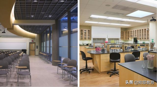 美国巴特社区学院,美国大都会社区学院