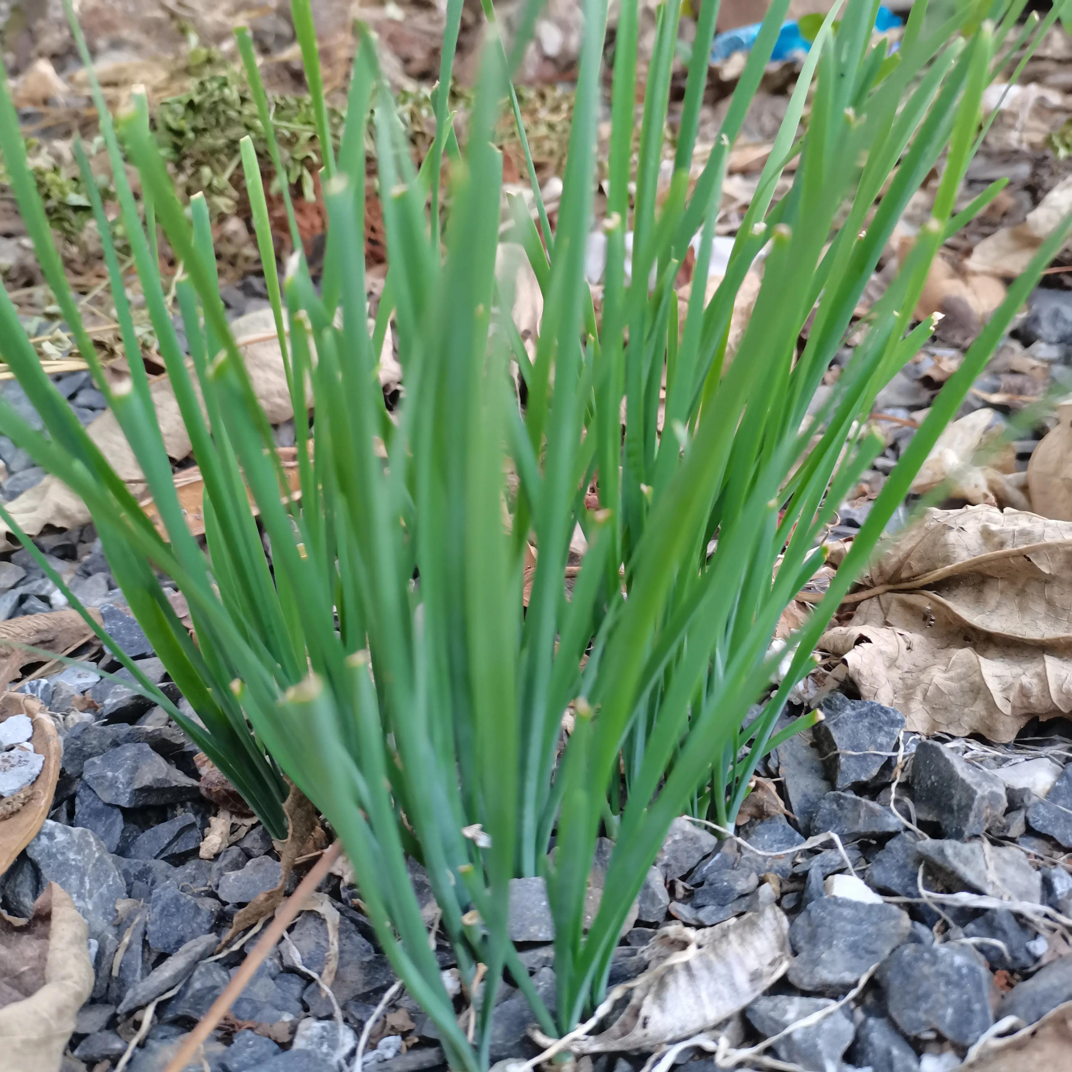 写出你最想从事的职业,请列举出三种你非常感兴趣的职业