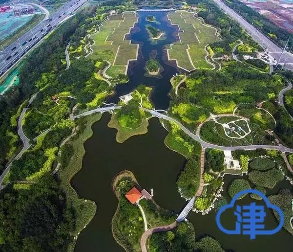 津南区绿色生态屏障起步区,津南区绿色屏障2022年新进展