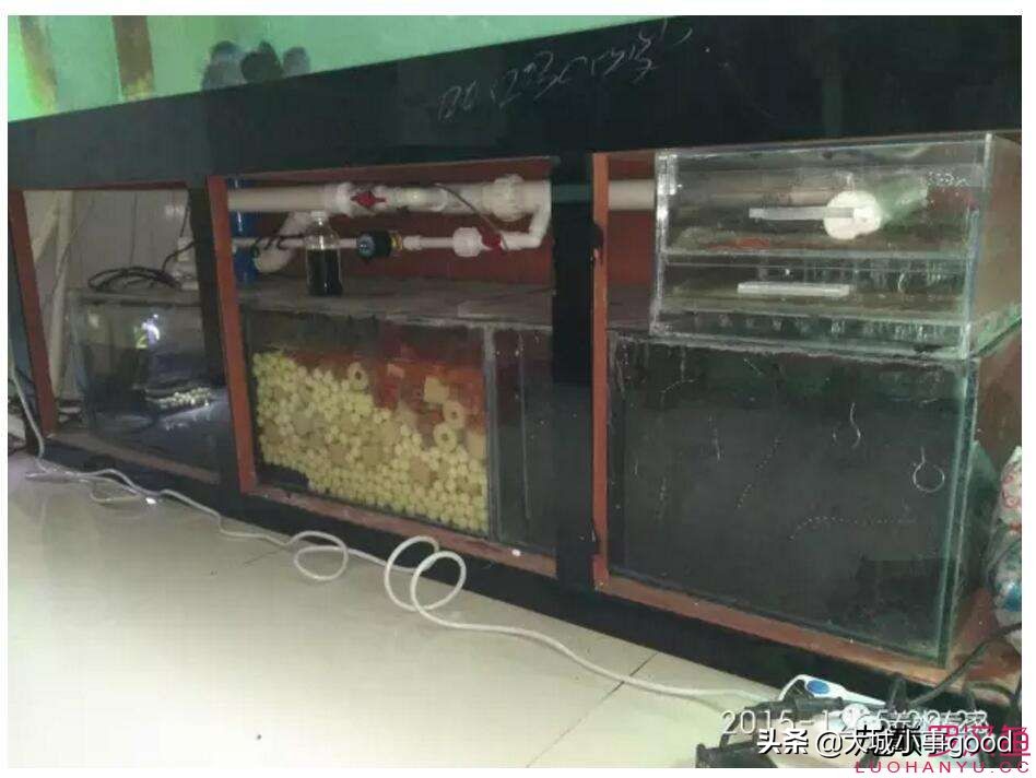 鱼缸自动换水太快,鱼缸自动换水补水靠谱么