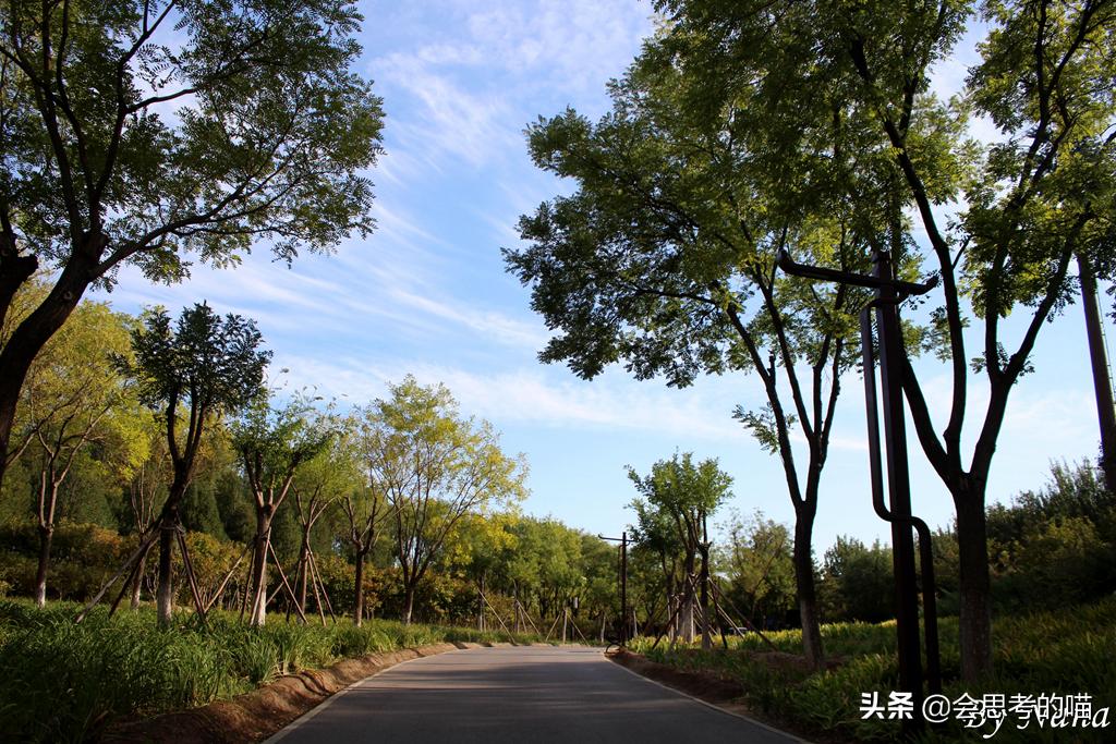 大兴南海子公园还开放吗,南海子公园现在开门了吗