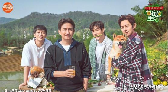 完美关系最后一集花絮,完美关系烂尾