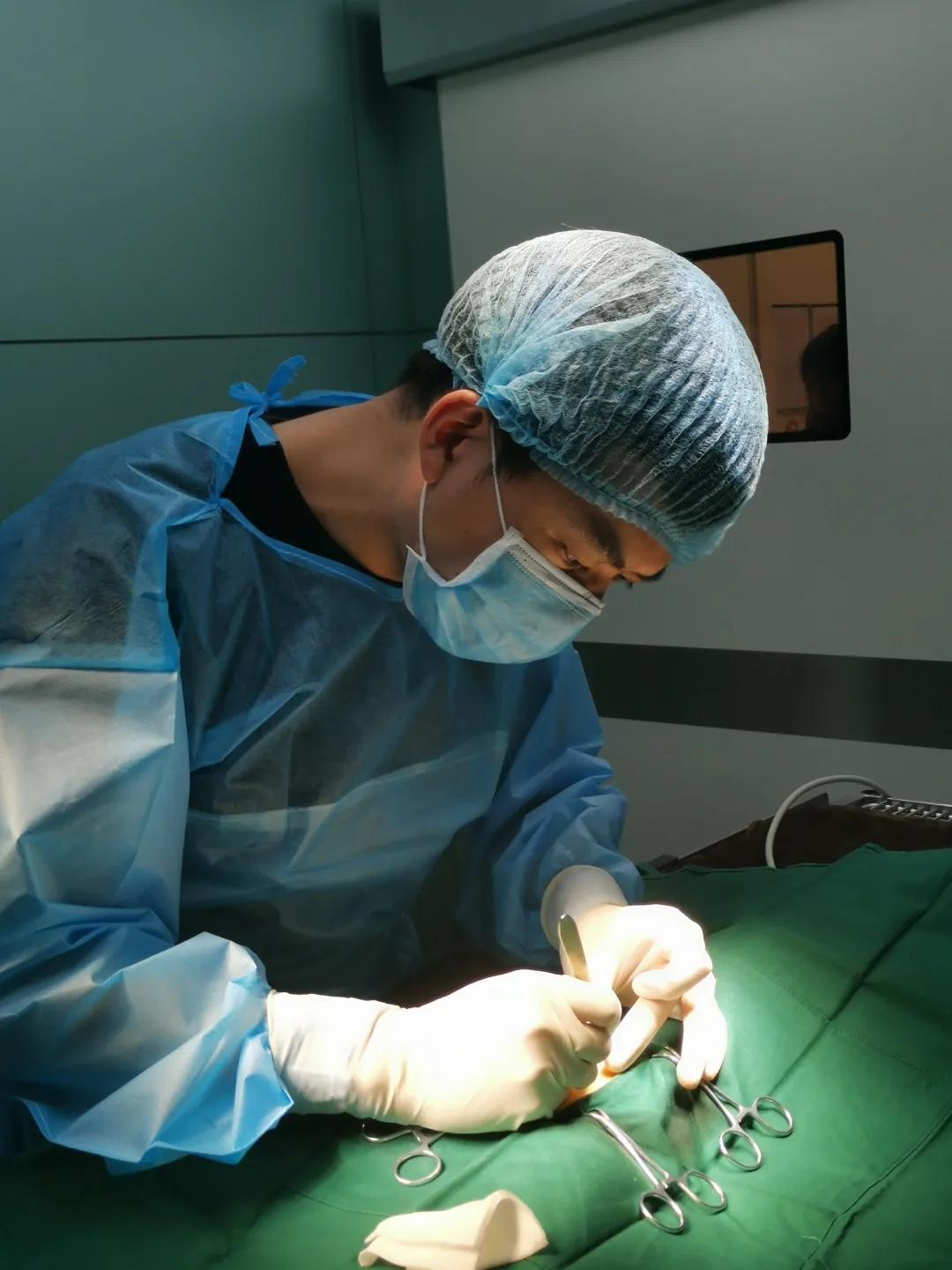 瀹犵埍鍥介檯鍔ㄧ墿鍖婚櫌闄㈣,瀹犵埍鍥介檯鍔ㄧ墿鍖婚櫌浣撳唴椹辫櫕