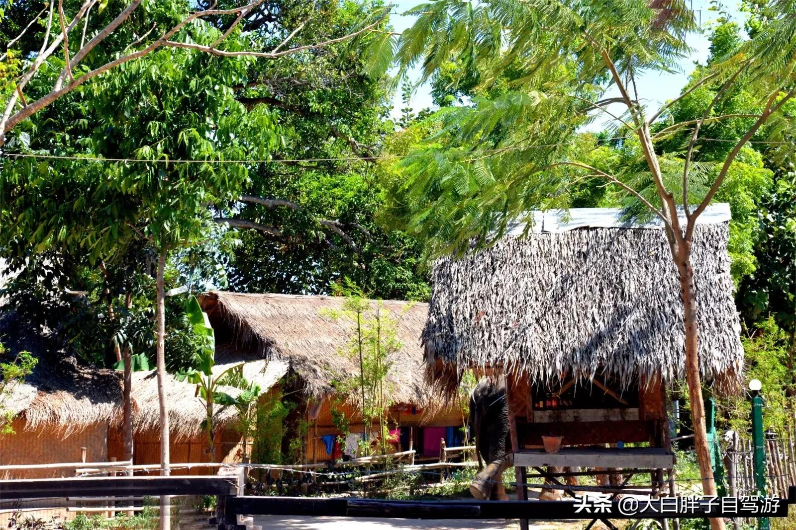 泰国风情之旅完整版小说,泰国风情十日游