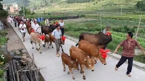 秋分秋色平分寒暑匀,暑离秋往秋分节气