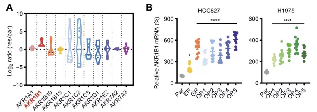egfr靶向药的副作用,egfrl858r突变吃靶向药多久耐药