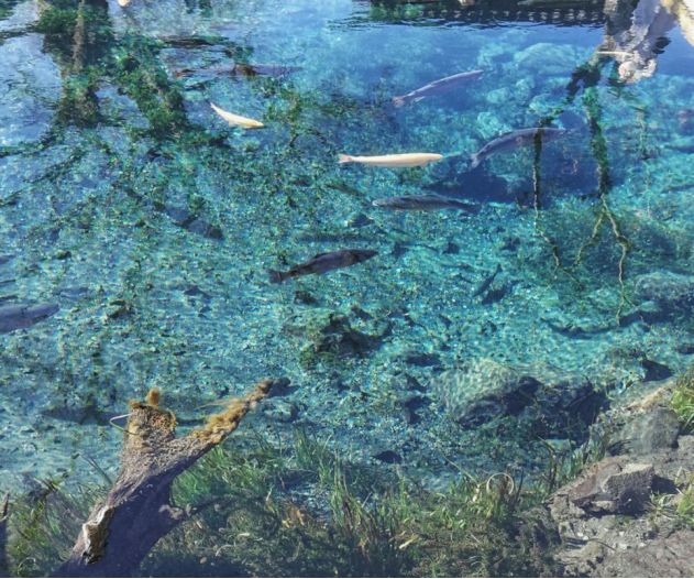 王思聪李易峰综艺节目,王思聪李易峰玩游戏