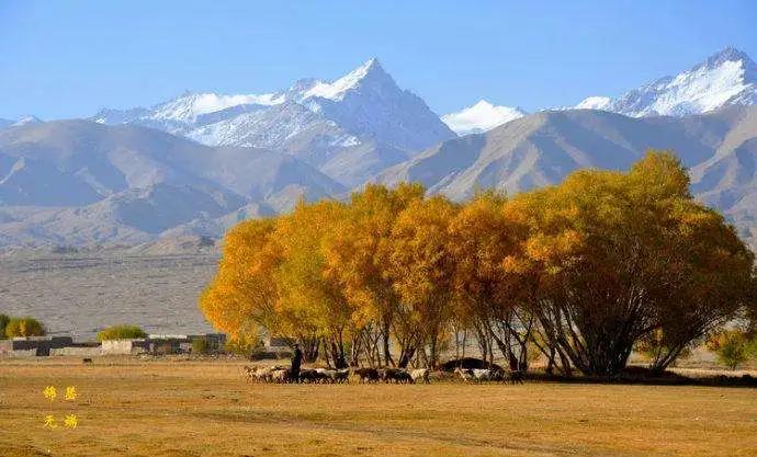 中国地大物博，知道东、南、西、北极在哪里吗？