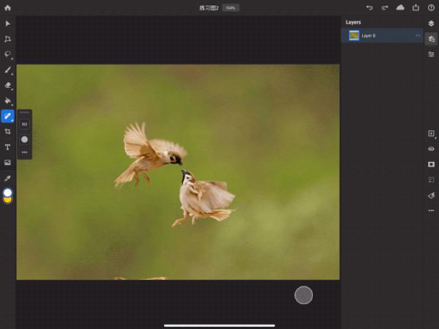 ipad版ps有哪些功能,ipad版ps界面不一样