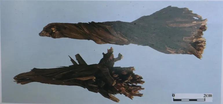 紫草中含哪些有效成分,紫草膏的紫草是什么样子