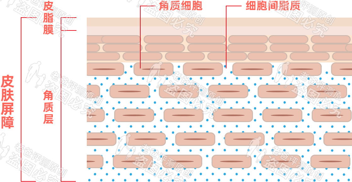 拯救敏感肌的方法,拯救敏感肌的药膏