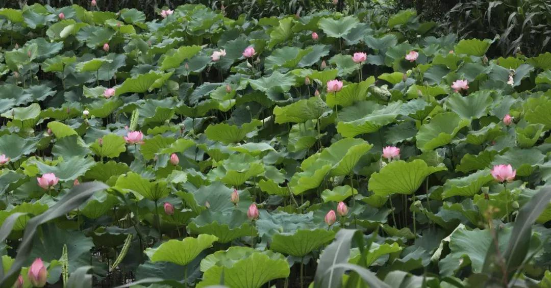 简阳五一有什么好玩的地方,国庆七天假去什么地方玩