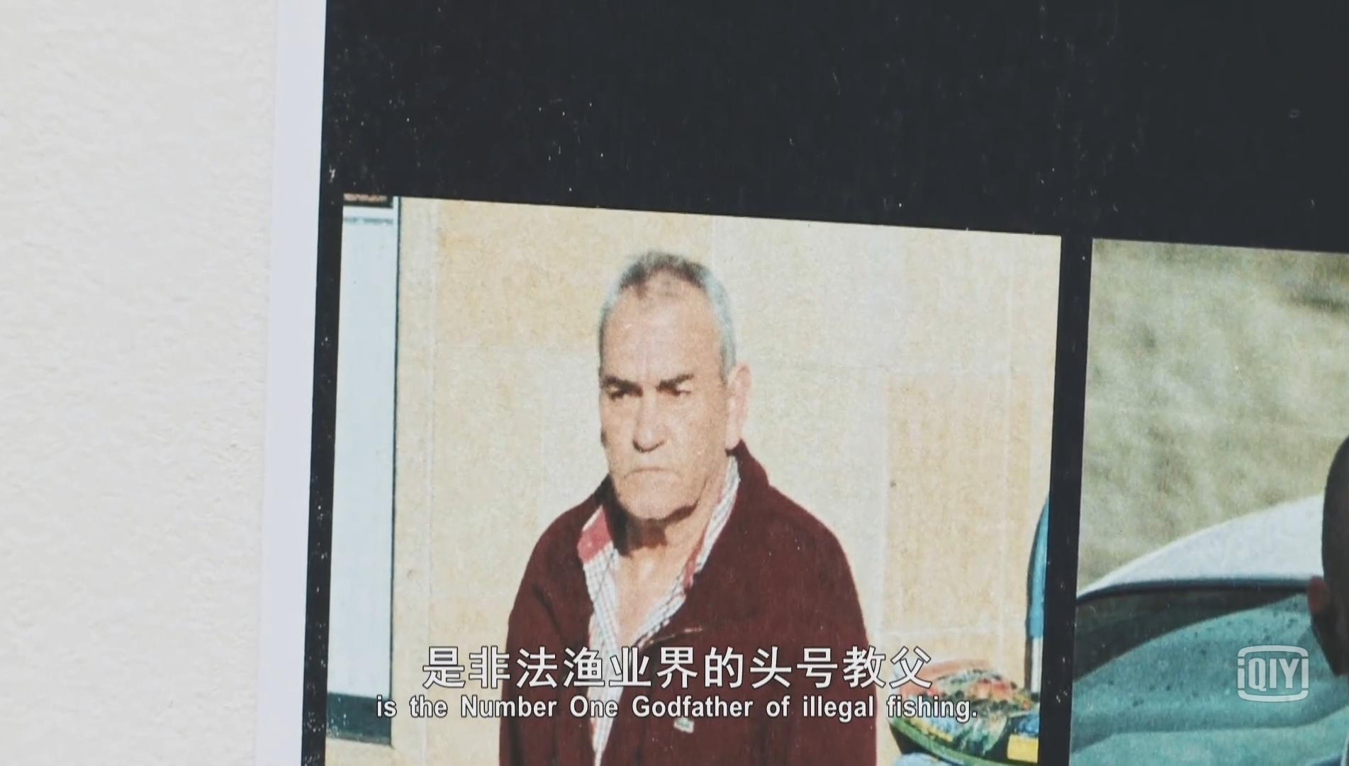 法国银鳕鱼500g南极深海,法国银鳕鱼捕捞