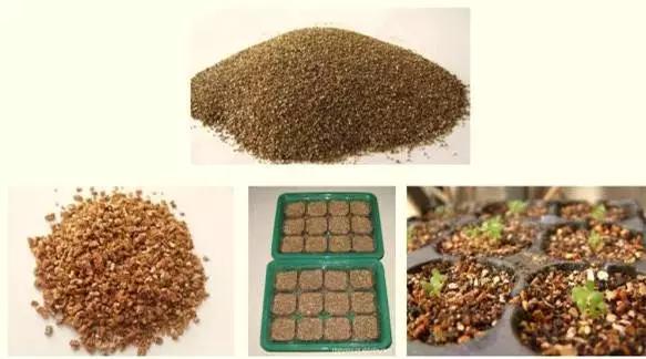 教你打造一米菜园,自家菜园教程新手入门