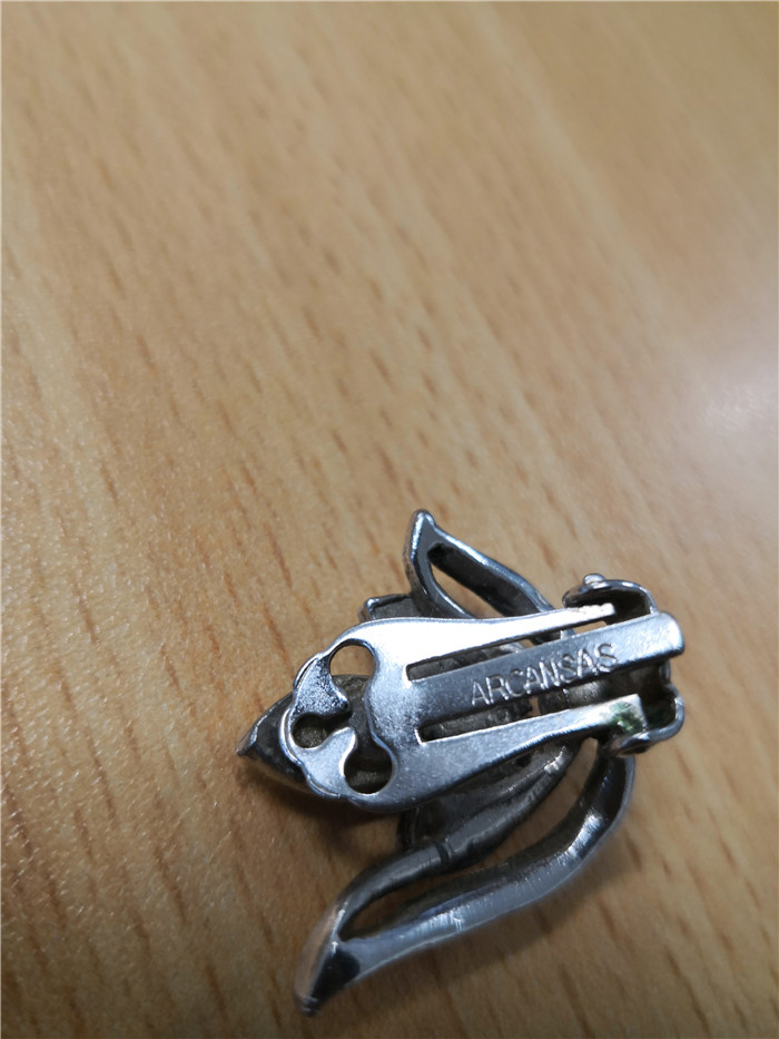 在新西兰免费捡果子,在新西兰捡鲍鱼