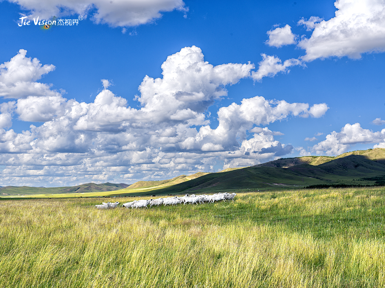 狼图腾内蒙古取景地,狼图腾拍摄的草原