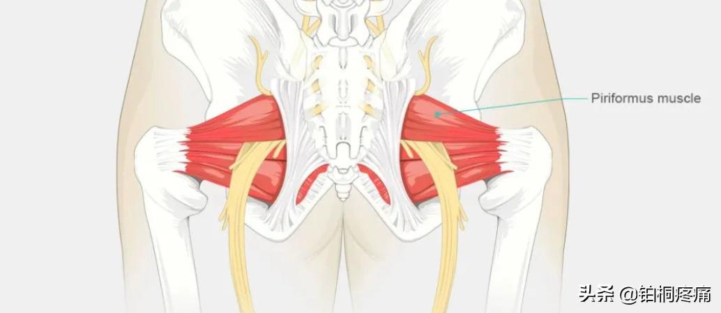 喜欢翘二郎腿怎样办,翘二郎腿你是怎么做到的