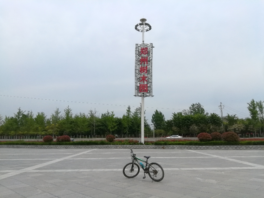 郑州树木园最新视频,郑州树木园现状