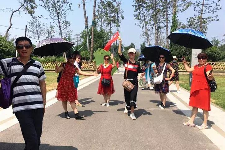 陕西韩城港青旅国际旅行社,港青旅港澳游5日纯游旅游团