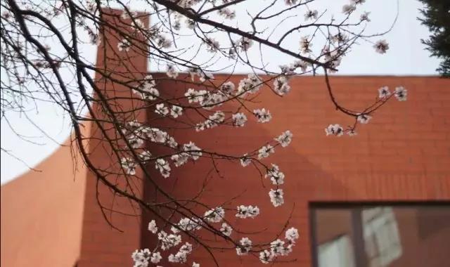 抚顺市第十五高级中学,抚顺市第十二中学现在是省重点吗