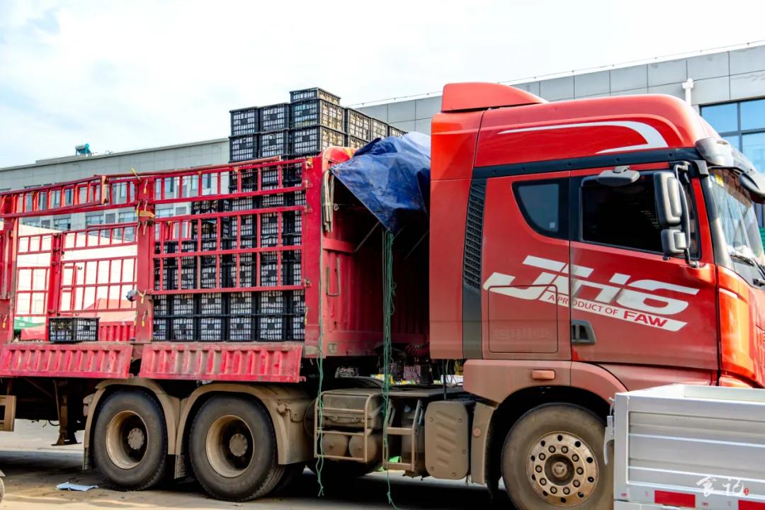 襄阳四季青水果批发市场位置,襄阳最大水果交易市场