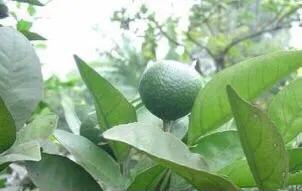 宁海长街文围村视频,最新宁海长街文围村