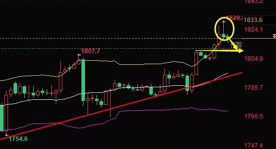 黄金原油精评分析,金论非凡深度解析