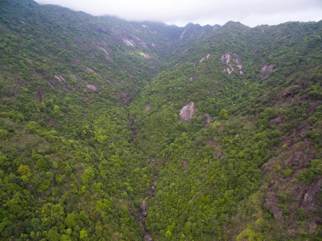 我的家乡湖南凤凰,我的家乡潮州视频