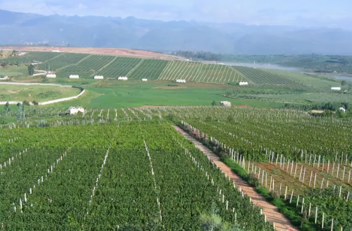 什么是弥勒教,什么是弥勒尊佛