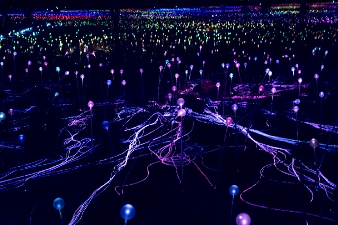 乌鲁鲁的星空晚宴，在世界中心呼唤爱「七夕特稿」