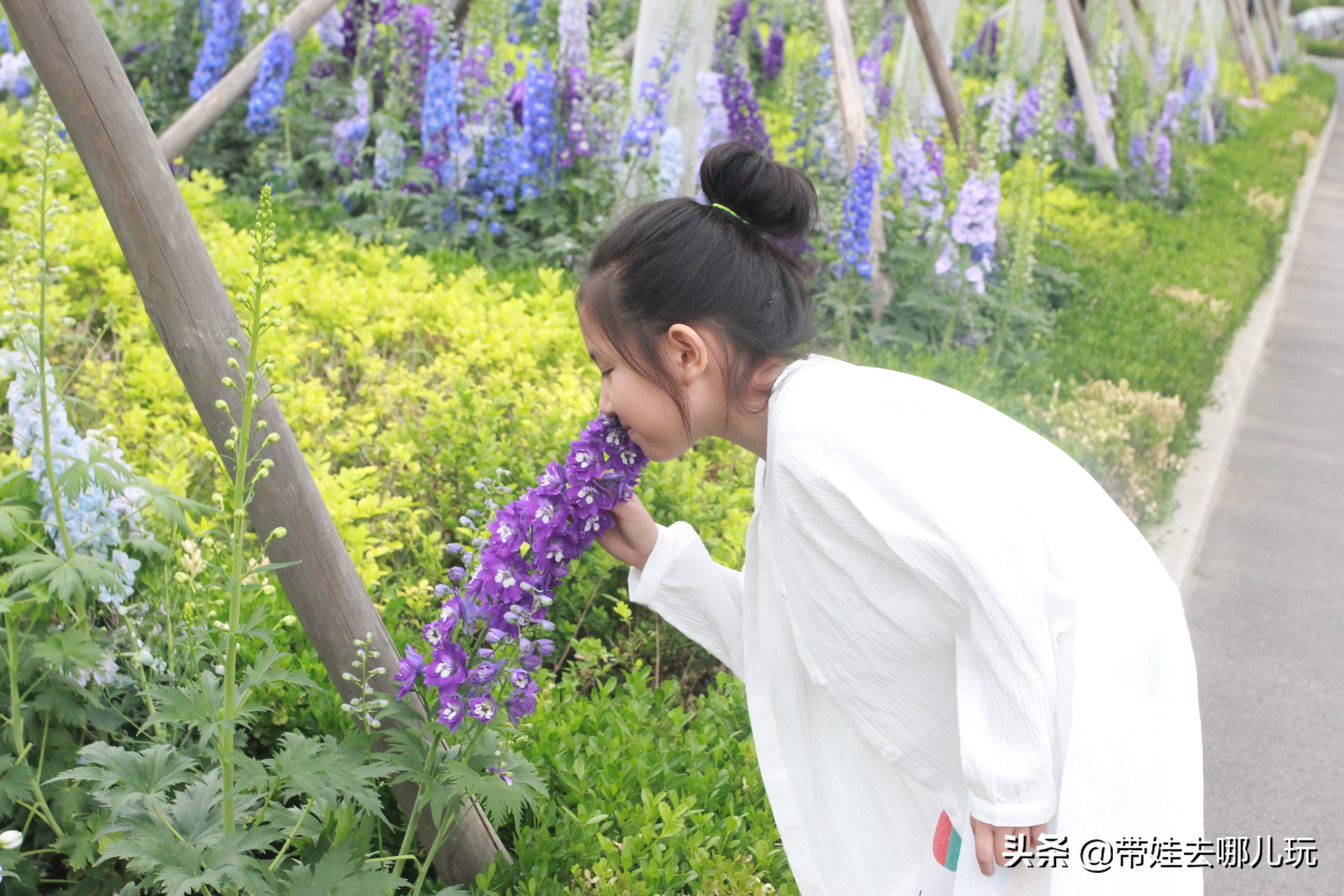 海德公园参观,北京的海德公园