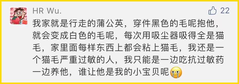 合租养猫劝退指南,《养猫劝退指南》
