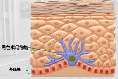 为什么医生不建议吃白加黑,为什么医生不建议用祛斑产品