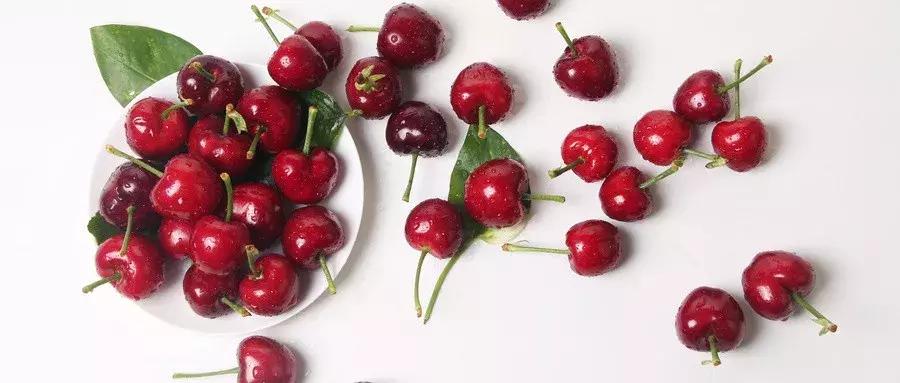 摘樱桃最近的地方西安,西安周边摘樱桃攻略