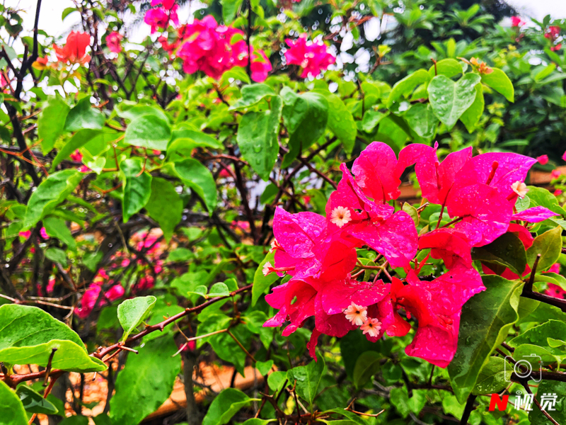 博鳌旅游度假攻略,博鳌旅游攻略2天一夜住宿推荐