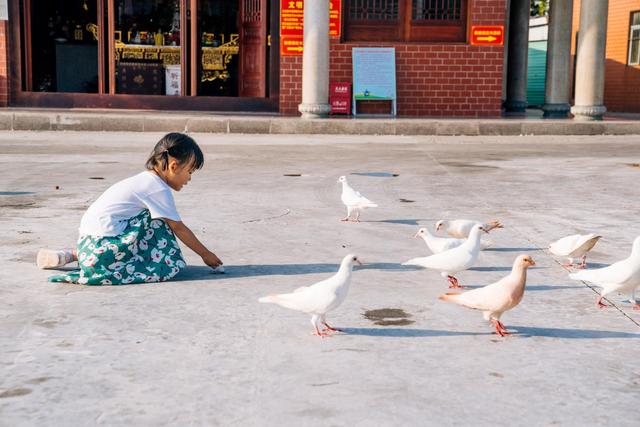 观音山风景如画,观音山美景精彩视频