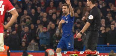 廊桥遗梦讲解,评价法布雷加斯转会切尔西