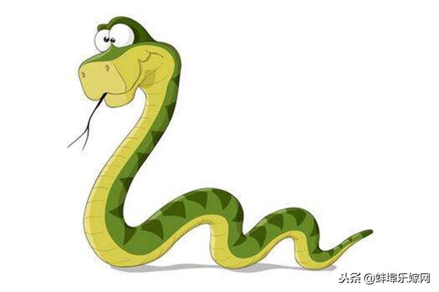 哪几个属相是不能和同属相结婚的,2019年结婚什么属相应回避