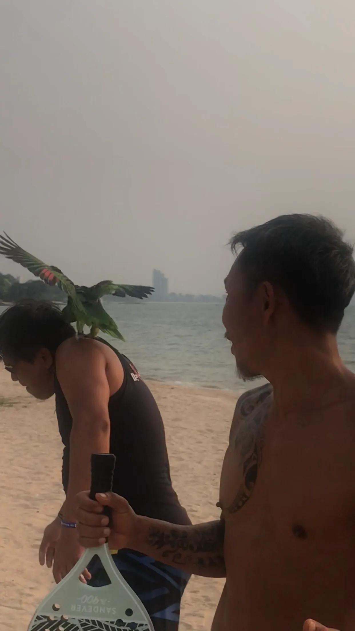 泰国的自然环境简介,泰国生态怎么样