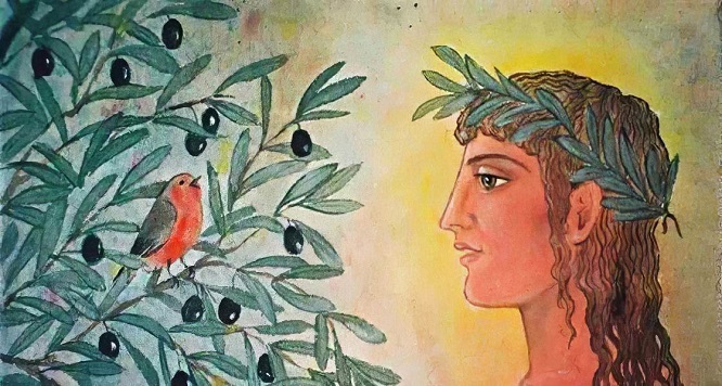 由神话开始，橄榄是如何从原始崇拜成为系统的橄榄文化的？