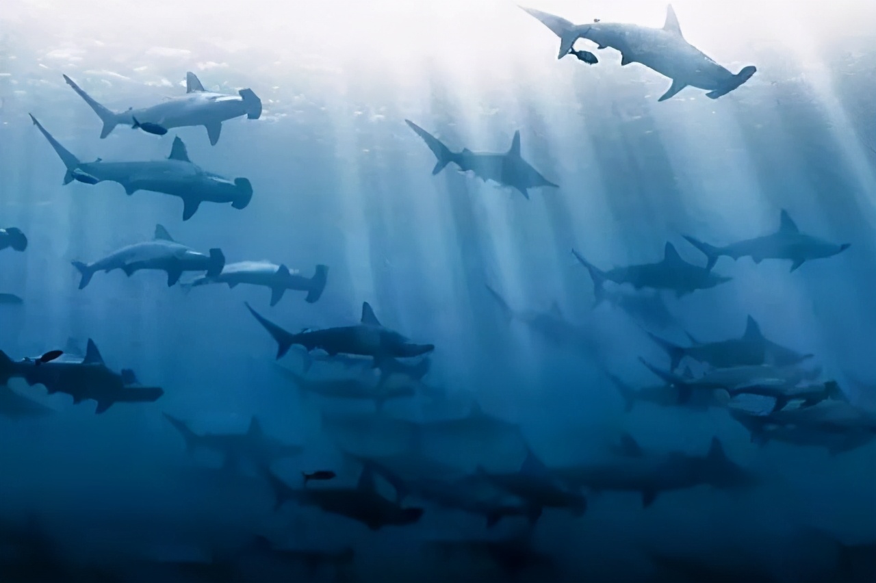 适合初级潜水的潜点,船宿潜水需要带什么