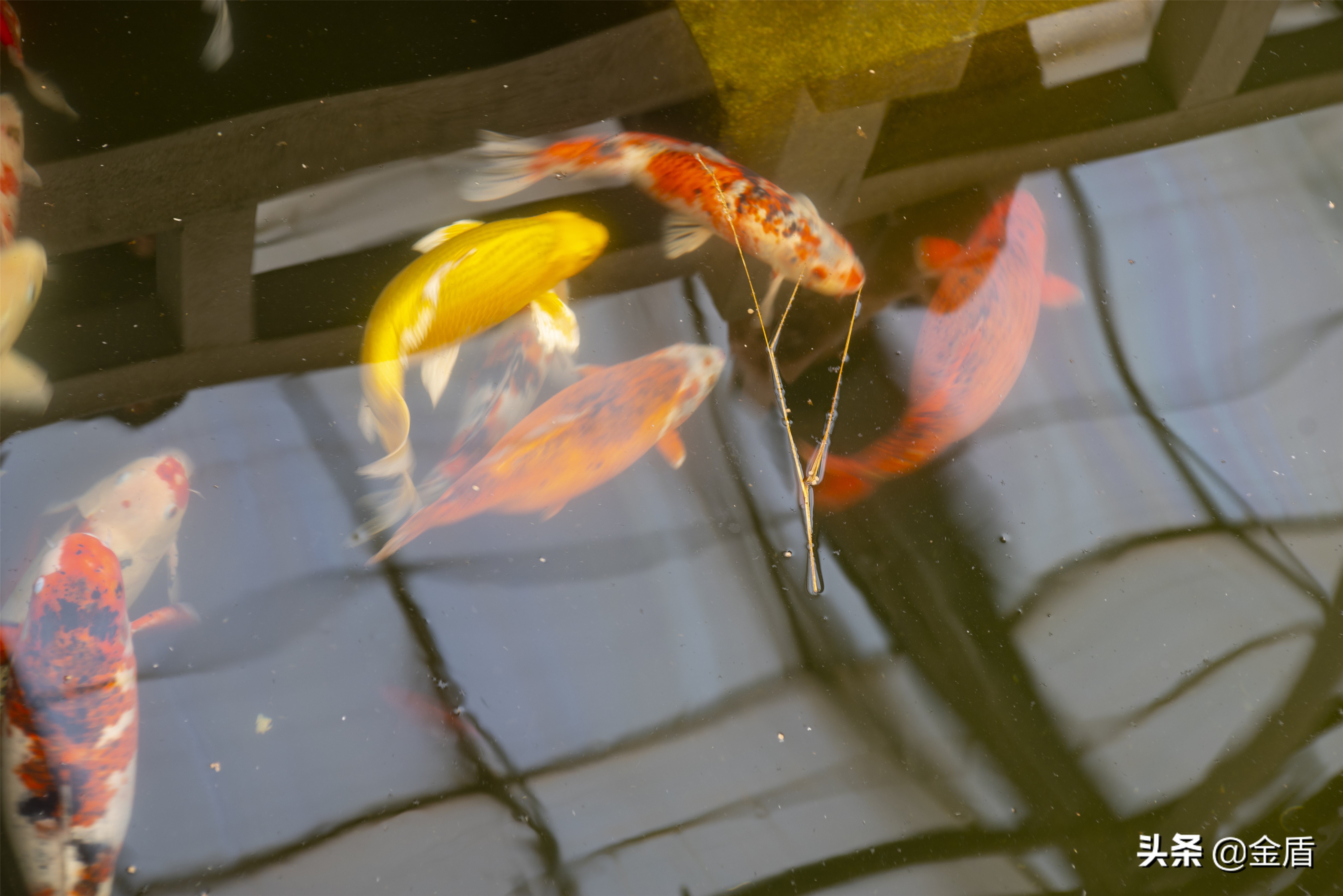 九天休闲谷好玩吗,九天休闲谷冬天开吗