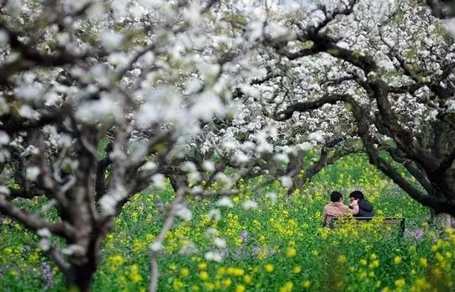 各种相机拍摄技巧视频,单反相机入门教程实用摄影技巧