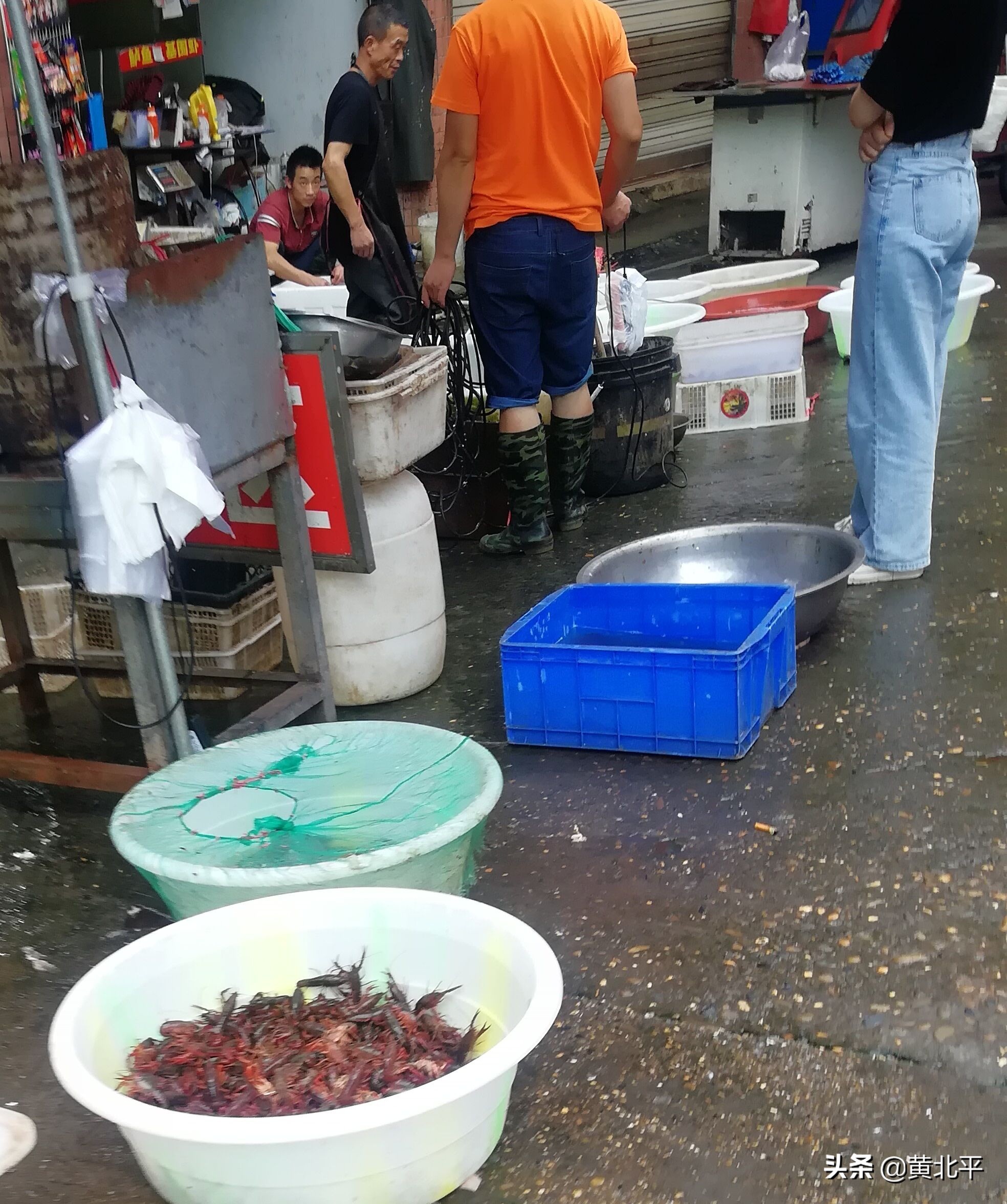 重庆市潼南区视频,重庆市潼南区房价