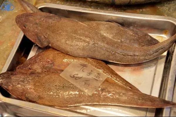 有一种炫富叫青岛开海,有一种炫富叫青岛开海了