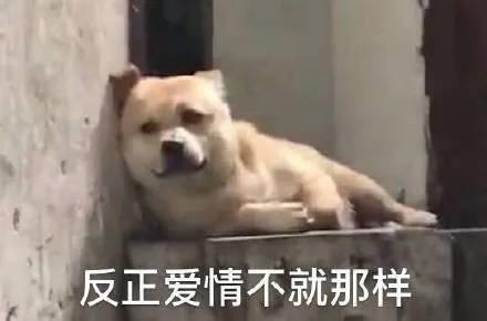 隔壁老王模拟器游戏,隔壁老王模拟器讲解