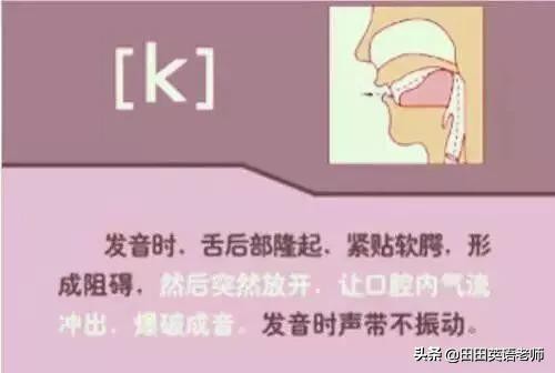 48个英语国际音标发音表图片,英语48个音标发音附详细图解视频